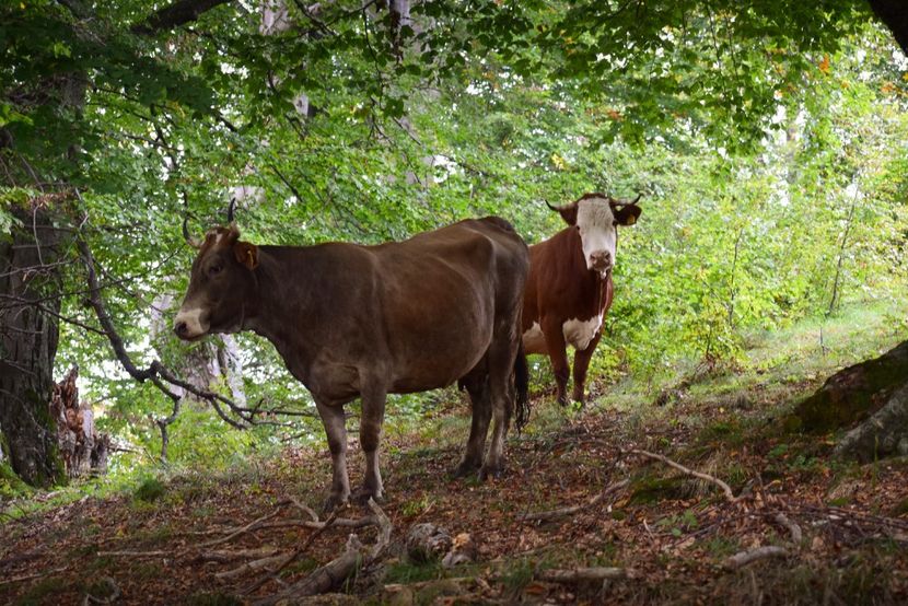  - Sfarsit de septembrie