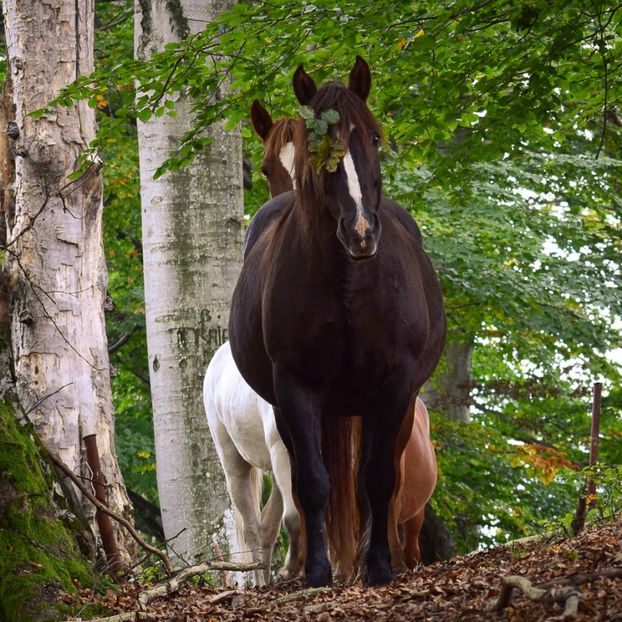  - Sfarsit de septembrie