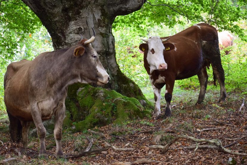  - Sfarsit de septembrie