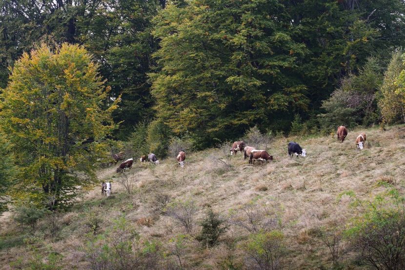  - Sfarsit de septembrie