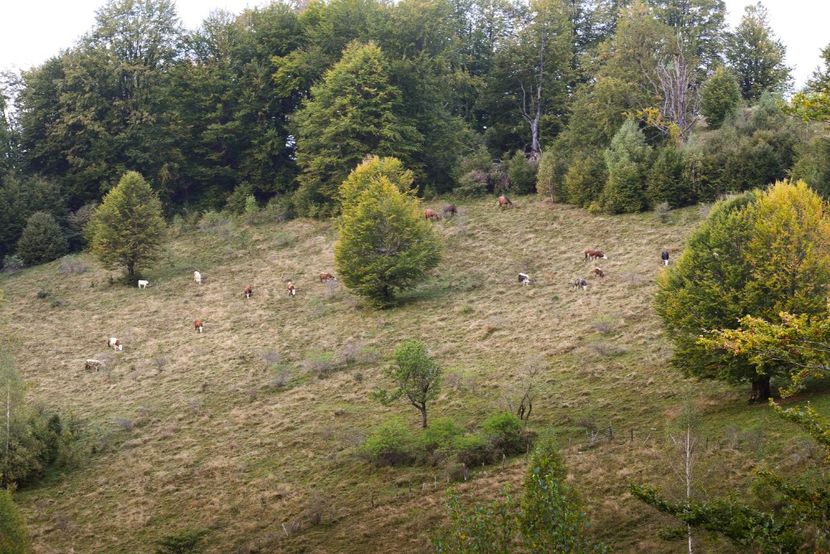  - Sfarsit de septembrie