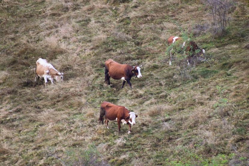  - Sfarsit de septembrie