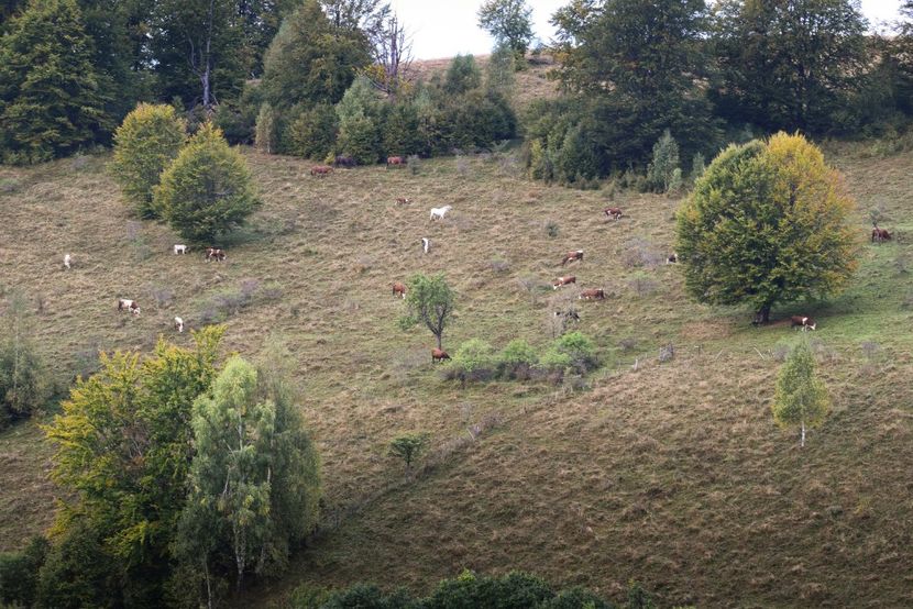  - Sfarsit de septembrie