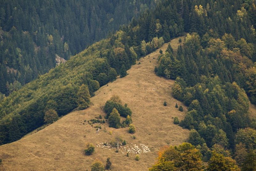  - Sfarsit de septembrie