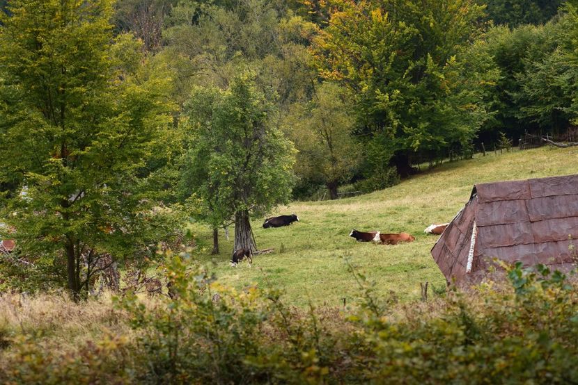  - Sfarsit de septembrie