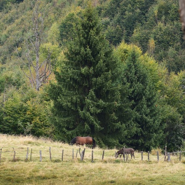  - Sfarsit de septembrie