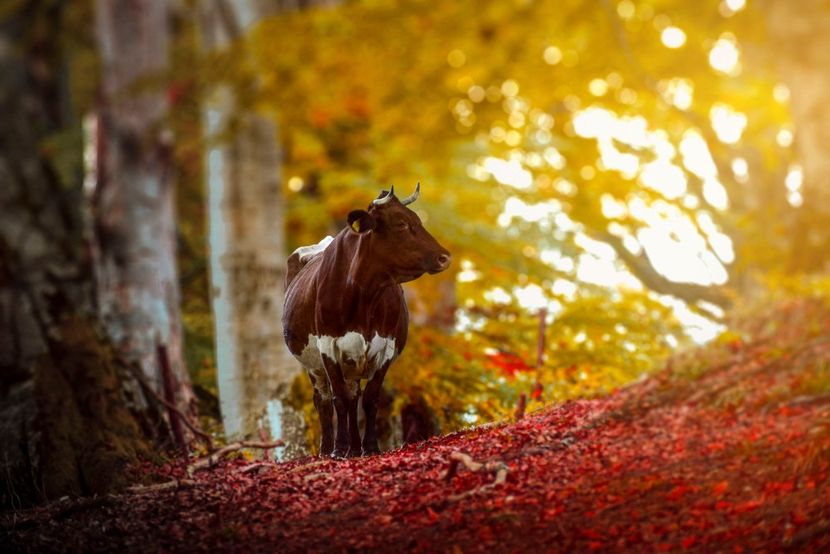  - Sfarsit de septembrie