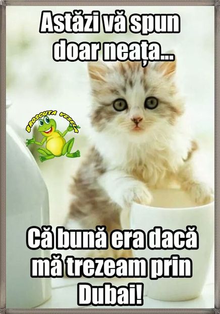  - Poze 5
