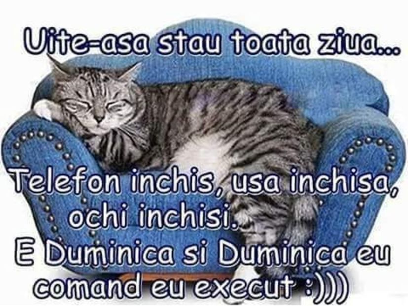  - Poze 5