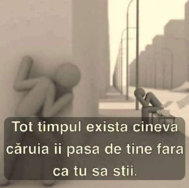  - Poze 5