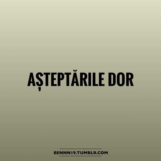  - Poze 5