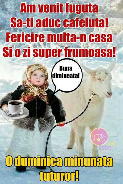  - Poze 5