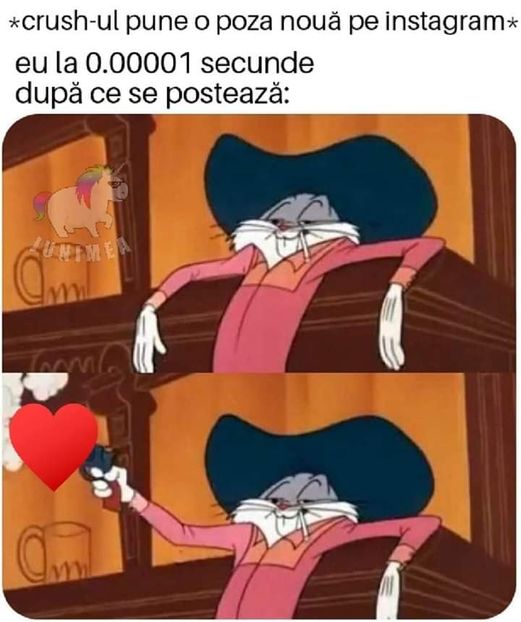  - Poze 5