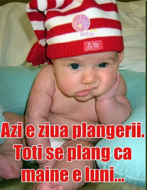  - Poze 5