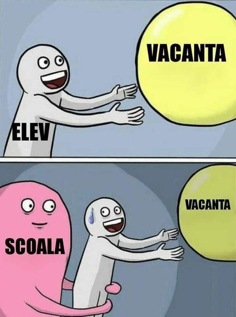  - Poze 5
