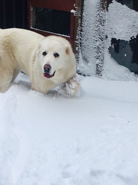 3E2CAD11-6493-421E-ADC3-4ACF35A6495C - Masha