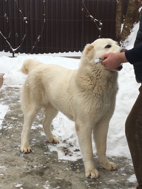 EC514122-F80F-4E12-8947-53150AB4EC93 - Masha