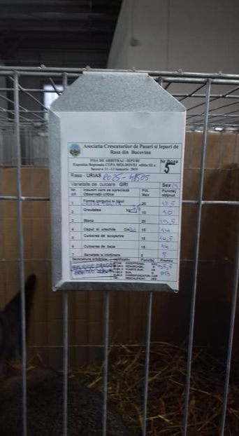  - REZULTATE EXPOZITIA REGIONALA A MOLDOVEI 2019