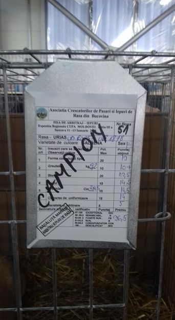  - REZULTATE EXPOZITIA REGIONALA A MOLDOVEI 2019