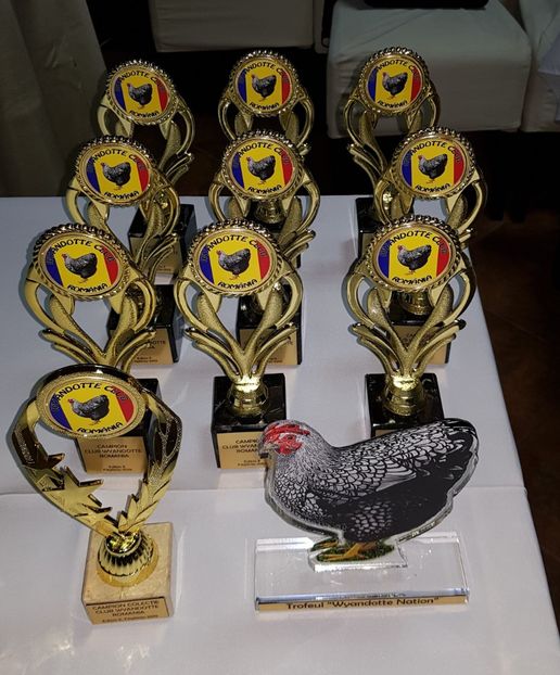  - u -EXPO TARA FAGARASULUI-EXPOZITIA NATIONALA CLUB BRAHMA-COCHIN FĂGĂRAȘ