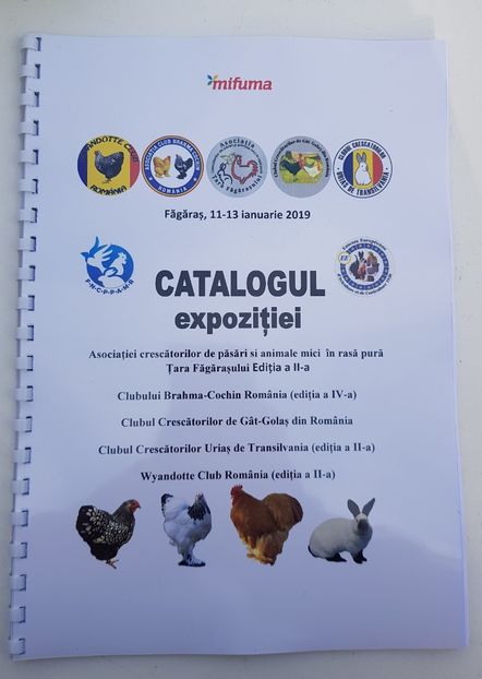  - u -EXPO TARA FAGARASULUI-EXPOZITIA NATIONALA CLUB BRAHMA-COCHIN FĂGĂRAȘ
