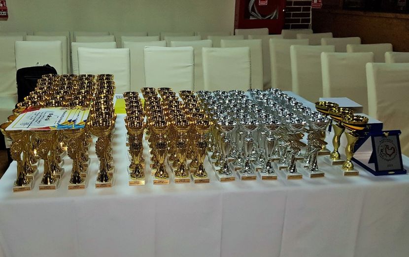  - u -EXPO TARA FAGARASULUI-EXPOZITIA NATIONALA CLUB BRAHMA-COCHIN FĂGĂRAȘ