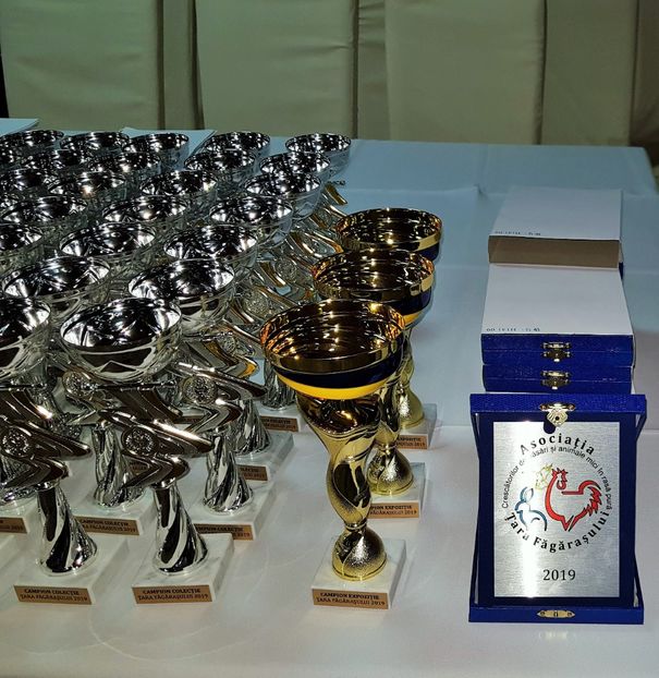 - u -EXPO TARA FAGARASULUI-EXPOZITIA NATIONALA CLUB BRAHMA-COCHIN FĂGĂRAȘ