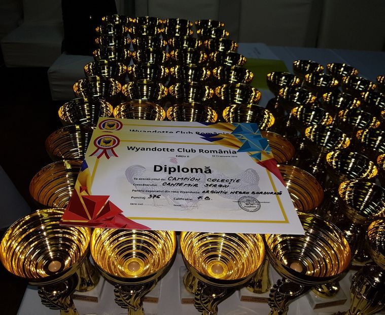  - u -EXPO TARA FAGARASULUI-EXPOZITIA NATIONALA CLUB BRAHMA-COCHIN FĂGĂRAȘ