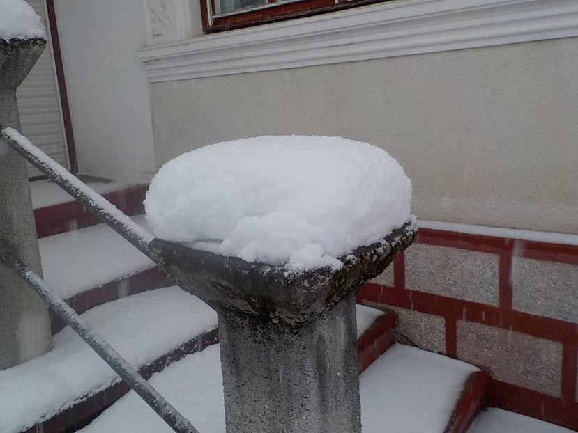 nins toata - Iarna 2018-2019