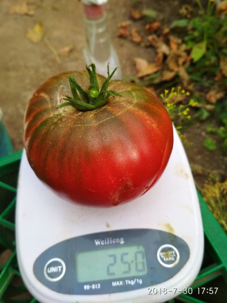 BLACK FROM TULA 2018 (8) - BLACK FROM TULA