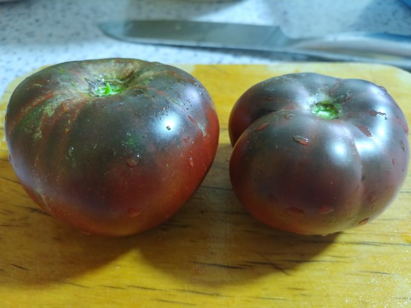 BLACK FROM TULA 2018 (10) - BLACK FROM TULA