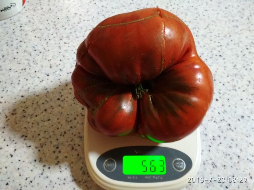 BLACK FROM TULA 2018 563 GR (1) - BLACK FROM TULA