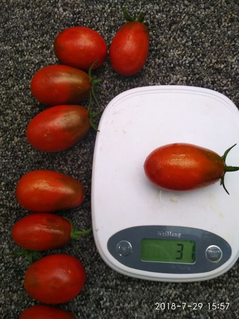 BLACK ROMA-EY 2018 (37) - BLACK ROMA