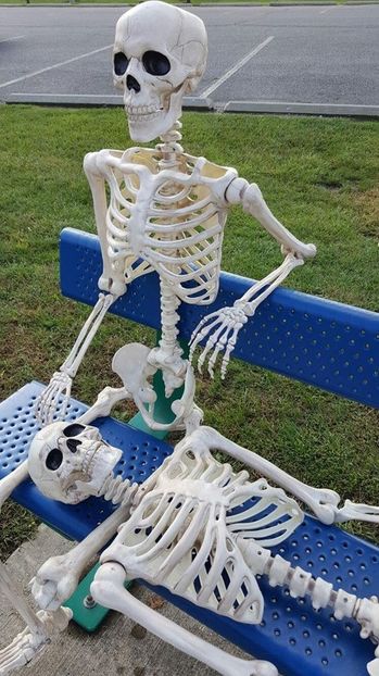 Eurovision 2018 - 2018 Eurovision Song Contest Part 9