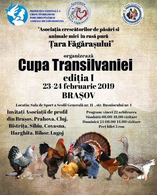  - T--TARGURI SI EXPOZITII