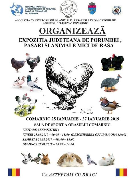  - T--TARGURI SI EXPOZITII