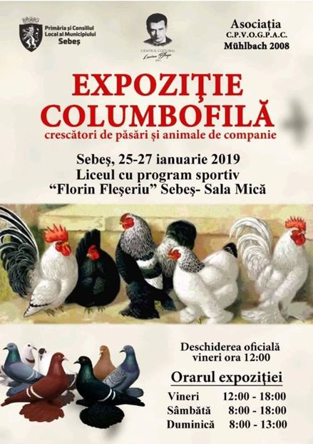  - T--TARGURI SI EXPOZITII