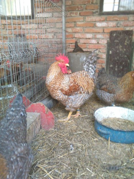  - BIELEFELDER MARE 2019