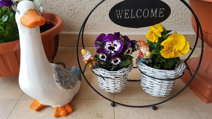  - Primavara in gradina 2018