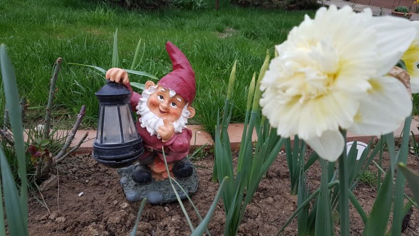  - Primavara in gradina 2018