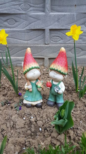  - Primavara in gradina 2018