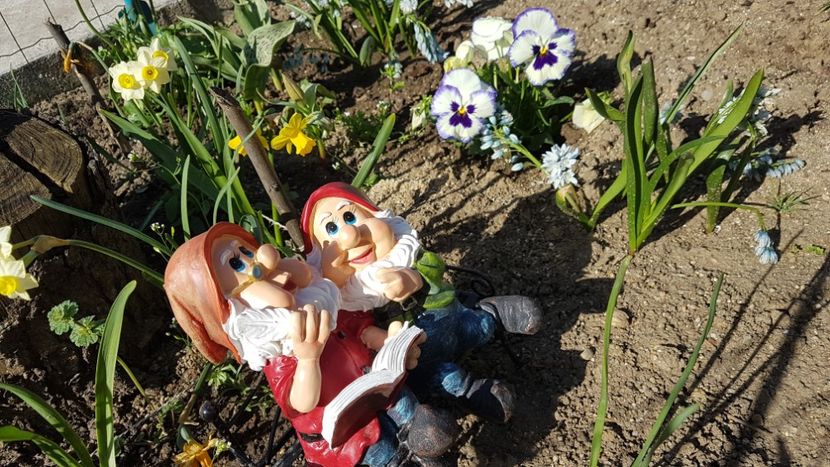  - Primavara in gradina 2018