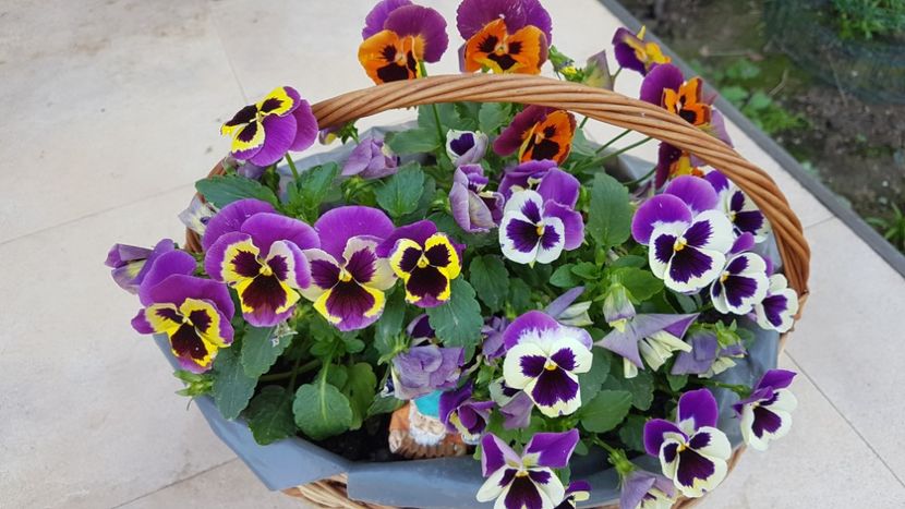  - Primavara in gradina 2018