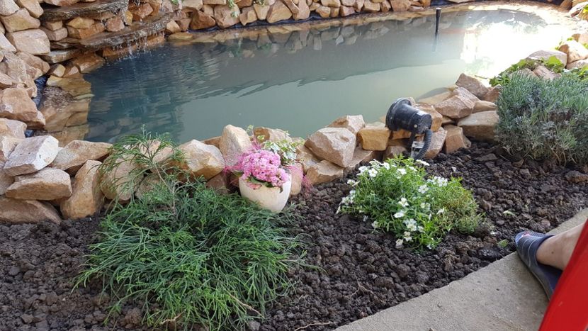  - Primavara in gradina 2018