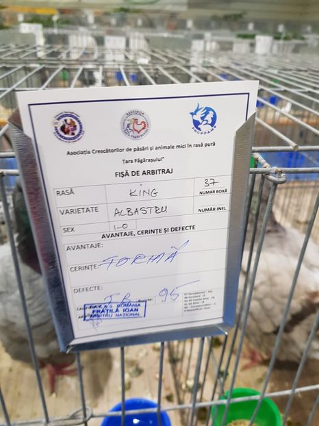  - u -EXPO TARA FAGARASULUI-EXPOZITIA NATIONALA CLUB BRAHMA-COCHIN FĂGĂRAȘ