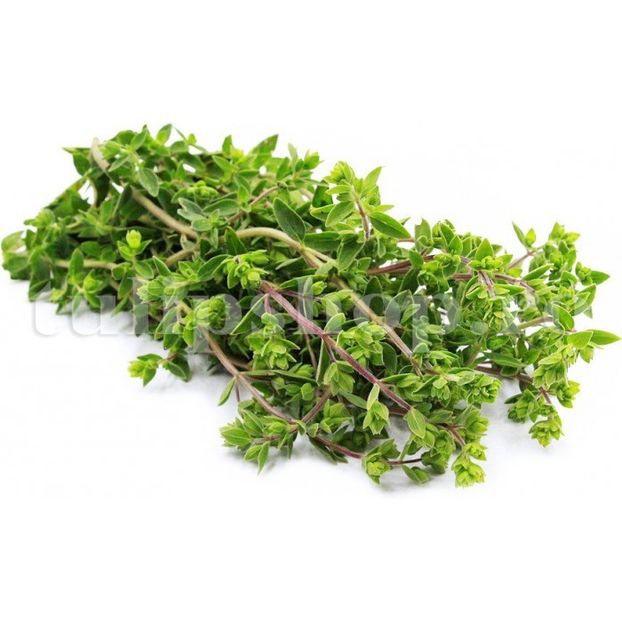 Seminte Maghiran 5000buc. - Seminte legume Dec 2019