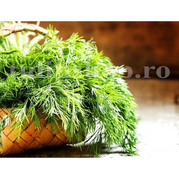 Seminte Marar 5000buc. - Seminte legume Dec 2019