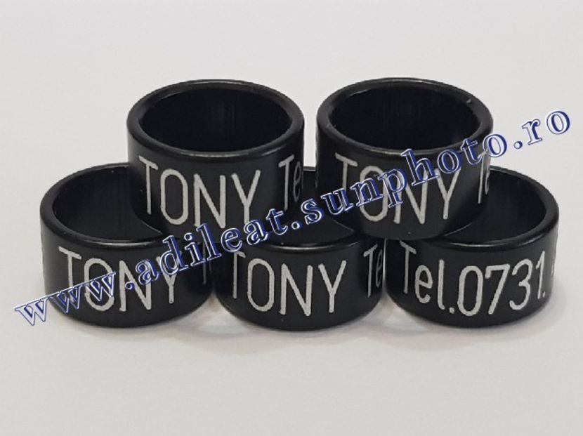 TextArt_190115213158 - 1-A-INELE PERSONALIZATE 2019