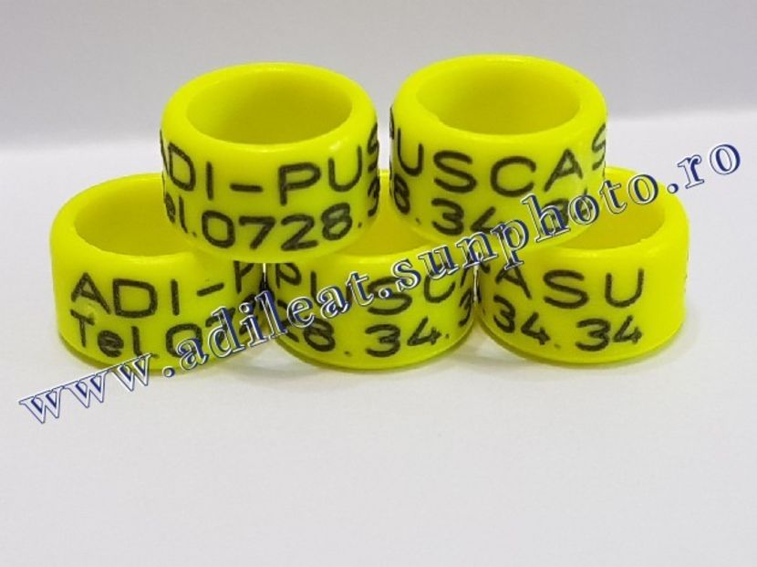 TextArt_190115213419 - 1-A-INELE PERSONALIZATE 2019