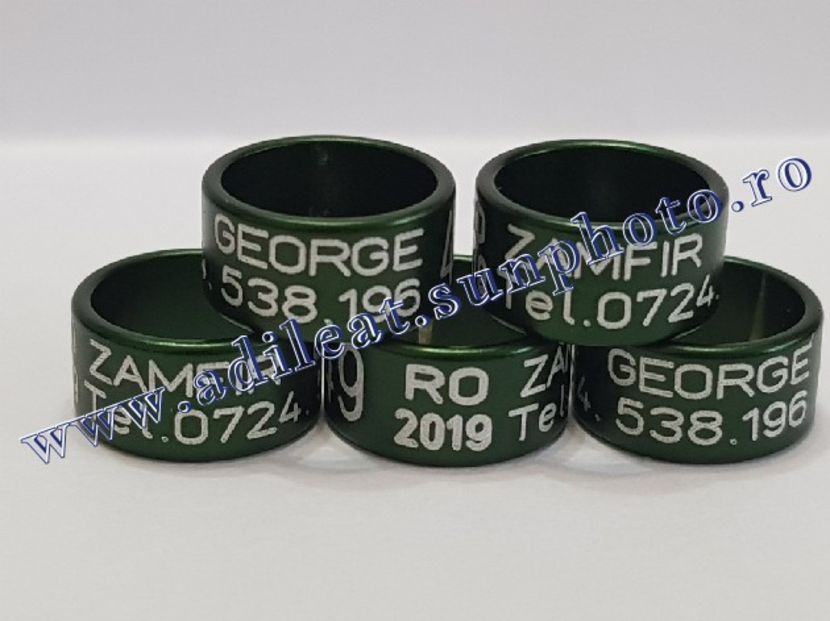 TextArt_190115213210 - 1-A-INELE PERSONALIZATE 2019